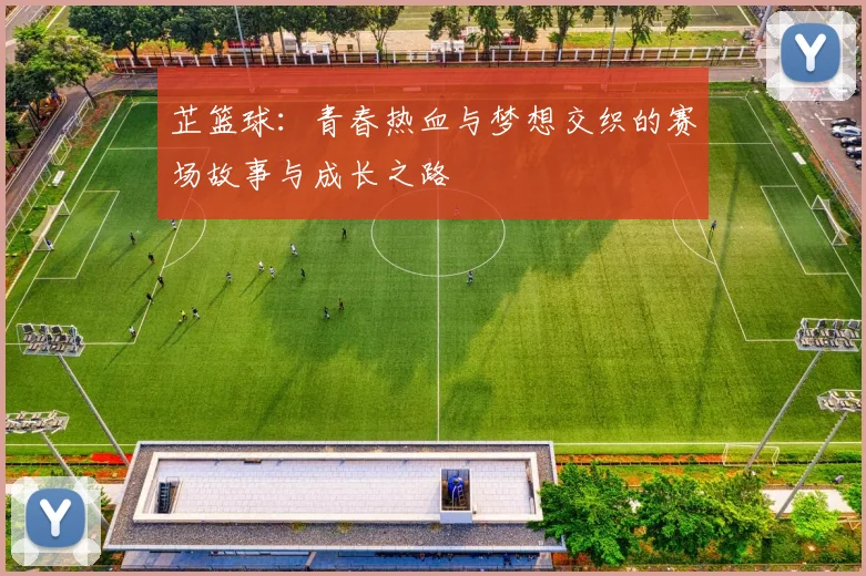 芷篮球：青春热血与梦想交织的赛场故事与成长之路