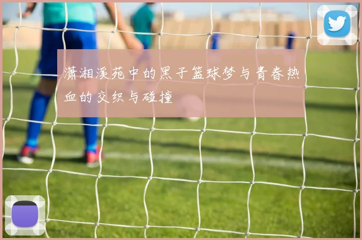 潇湘溪苑中的黑子篮球梦与青春热血的交织与碰撞